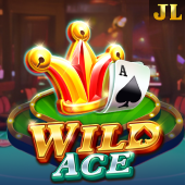 Wild Ace slot on jljl55 slot